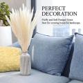Dried Pampas Grass for Home Decor,faux Pampas Grass,white ,brown Mini