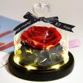 Beauty and The Beast Preserved Roses In Glass Forever Eternal Rose B