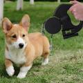 Dual Dog Rope Leash with Light Retractable Double Pet Traction Rope-a