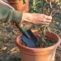 4pcs Flower Planting Soil Shovel Rake Fork Cultivator Trowel Kit