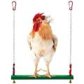 Chicken Swing Toy for Hens Bird Parrot Macaw Hens Ladder Trainning