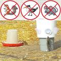Diy Chicken Feeder Ports No Waste for Buckets,barrels,bins, 8 Ports