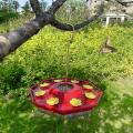 Plastic Hummingbird Feeders for Outdoors, with 2 Pack Window Feeders