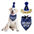 Boy Dog Birthday Bandana Scarf and Dog Birthday Hat with Number