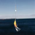 15pcs Shrimp Soft Lure 9cm/6g Fishing Artificial Bait with Glow Hook