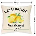 Farmhouse Lemon Pillow Covers Summer Lemon Lemon for Summer Decor