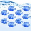 Humidifier Tank Cleaner, 10pcs Humidifier Filters Fish -blue