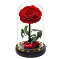 Rose Flowerin Glass Led Light for Valentine's Mother's Day,red