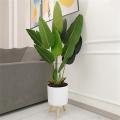 Green Plant Flower Pot with Wooden Legs Stand for Balcony Decor-gray