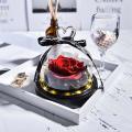 Natural Eternal Flowers Forever Preserved Rose In Glass Dome with Led
