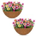 6pcs 10in Half Round Coco Coir Liner for Hanging Baskets Flower Pot