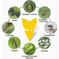 Fruit Fly Sticky Traps, Indoor Gnat Killer Pest Control for Plants