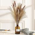 60 Pcs 17.5inch Natural Pampas Grass Branches,for Wedding,home Decor