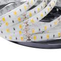 Leds Ip20 Warm White(3000k) Led Strip Band Lights