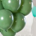 100pcs Green Balloons Olive Green Balloons Eucalyptus Party Latex