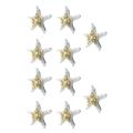 10pcs/lots Crafts White Bread Sea Shell Starfish, Fashion Handicrafts