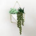 3pcs Artificial String Of Pearls Plant Faux Hanging Succulents Plants