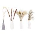 Pampas Grass, Dried Flowers,pampas Grass Velvet for Flower Home Decor