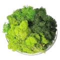 300g Moss Green Immortal Artificial Decorative Moss 3-color Mixed,b