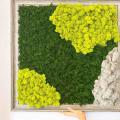 300g Moss Green Immortal Artificial Decorative Moss 3-color Mixed,a