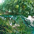 Garden Netting Anti Bird Protection Net with 4 Tacks and 50 Ties