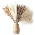 75 Pieces Natural Reed Pampas Bouquets, Perfect for Home Decor
