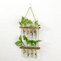 Wall Hanging Hydroponic Vase Home Wall Decor Glass Vases Plant Holder