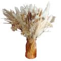 Dried Flowers Reed Grass,17 Inch Pampas Grass Branches for Home Decor