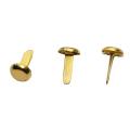 1/2 Inch Mini Paper Fasteners for Handicraft Projects,8 X 14 Mm(gold)