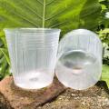 50pcs Transparent Seedling Cup Succulent Orchid Transparent Pot