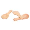 Short Handle 10 Packets Of Small Wooden Spoon for Jars Of Jam