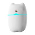 Humidifier 250ml Cold Fog Humidifier with Colorful Atmosphere Light