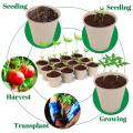 Growing Pots for Plants, Diameter 8 Cm, Height 8cm, 100 Pieces Plant