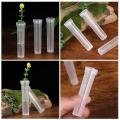 100pcs Plastic Culture Tubes Durable Flower Growing Tubes