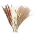 40pcs Dried Pampas Grass 18inch Bouquet Decor for Vase Home Decor