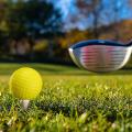 20 Pcs Golf Practice Foam Ball,for Backyard Hitting Mat,white
