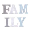 """family"" Decorative Wooden Letters Large Wood (old Color)"