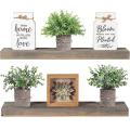 Decorative Small Plants Artificial Eucalyptus, Set Of 3 for Bedroom