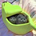 Banana Cat Bed, Pet Bed, Pet Bed for Cats, Rabbits&small Dogs Green