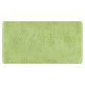 Fluffy Rugs for Bedroom,with Backing Non-slip Points(3x5 Feet,green)