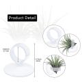 36 Pcs Plant Stand,with Suction Cup,for Plants(plants Not Included)