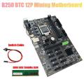B250 Btc Mining Motherboard with Ddr4 8g 2666mhz Ram+switch Cable