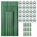Tomato Cages Assembled Garden Plant Stakes for Climbing Plants,75 Pcs