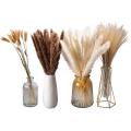 Pampas Grass Decoration Dried Flowers,hay Bouquet Set,pampas Grass