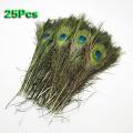 Pack Of 25pc Natural Peacock Feathers 10-12''