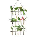 3 Tiered Hanging Plant Propagation Stations Plant Terrarium