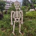 Diy Halloween Party Wooden Human Skeleton Pendant for Home Door Decor