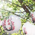 Set Of 6 Red Sakura(cherry)flowers White Color Lamp 16 Inch