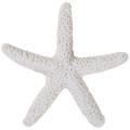 15 Pieces Creamy-white Pencil Finger Starfish for Wedding Dcor