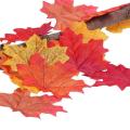 500 Pcs Mixed Fall Colored Artificial Maple Leaves for Weddings
